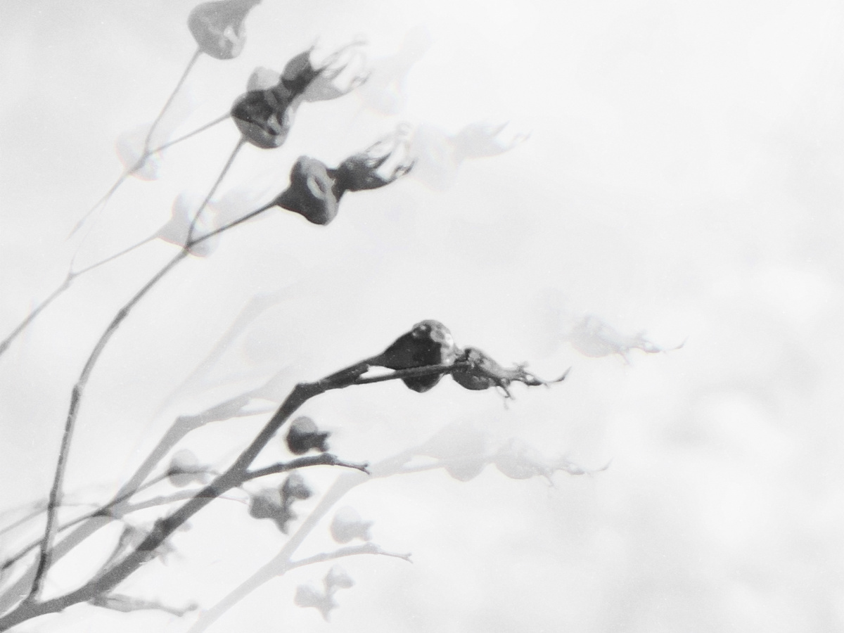 swing01