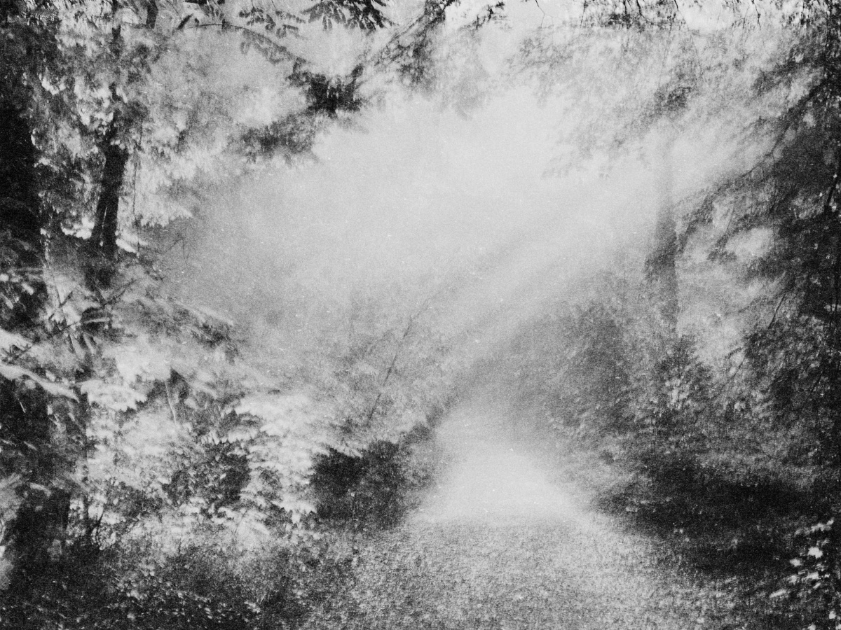 artofforgetting01
