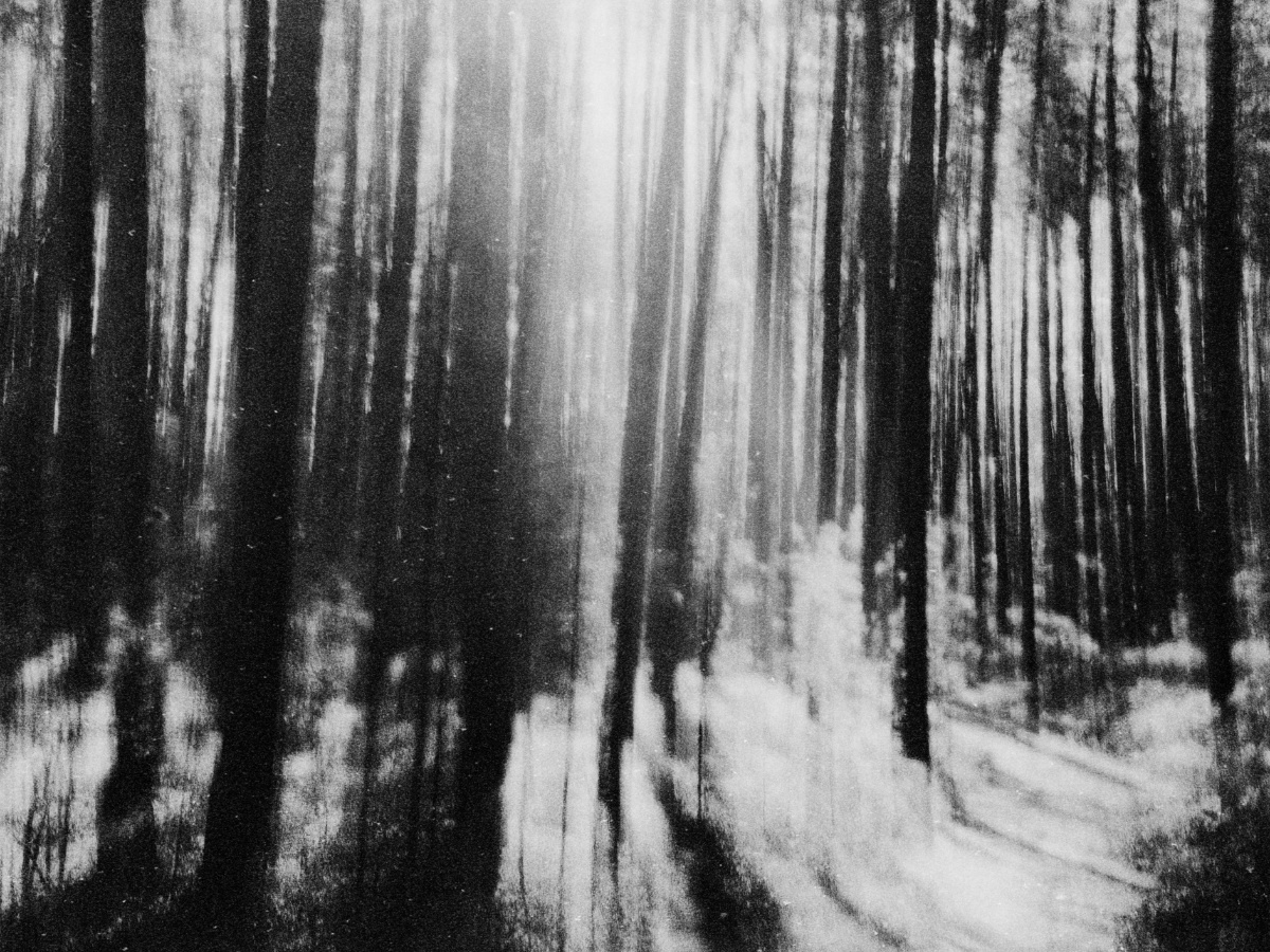 artofforgetting02