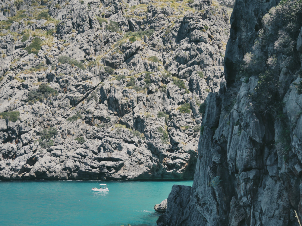 sacalobra03