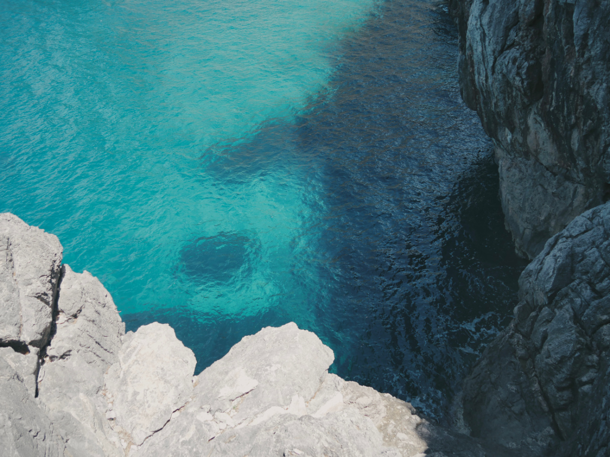 sacalobra04