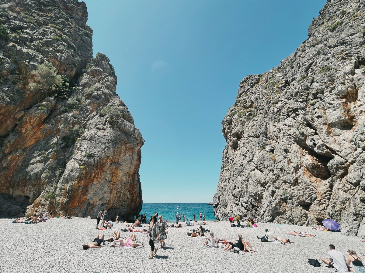 sacalobra05
