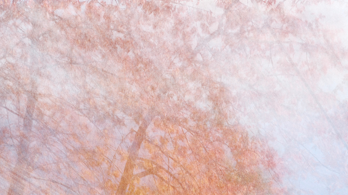 eno02
