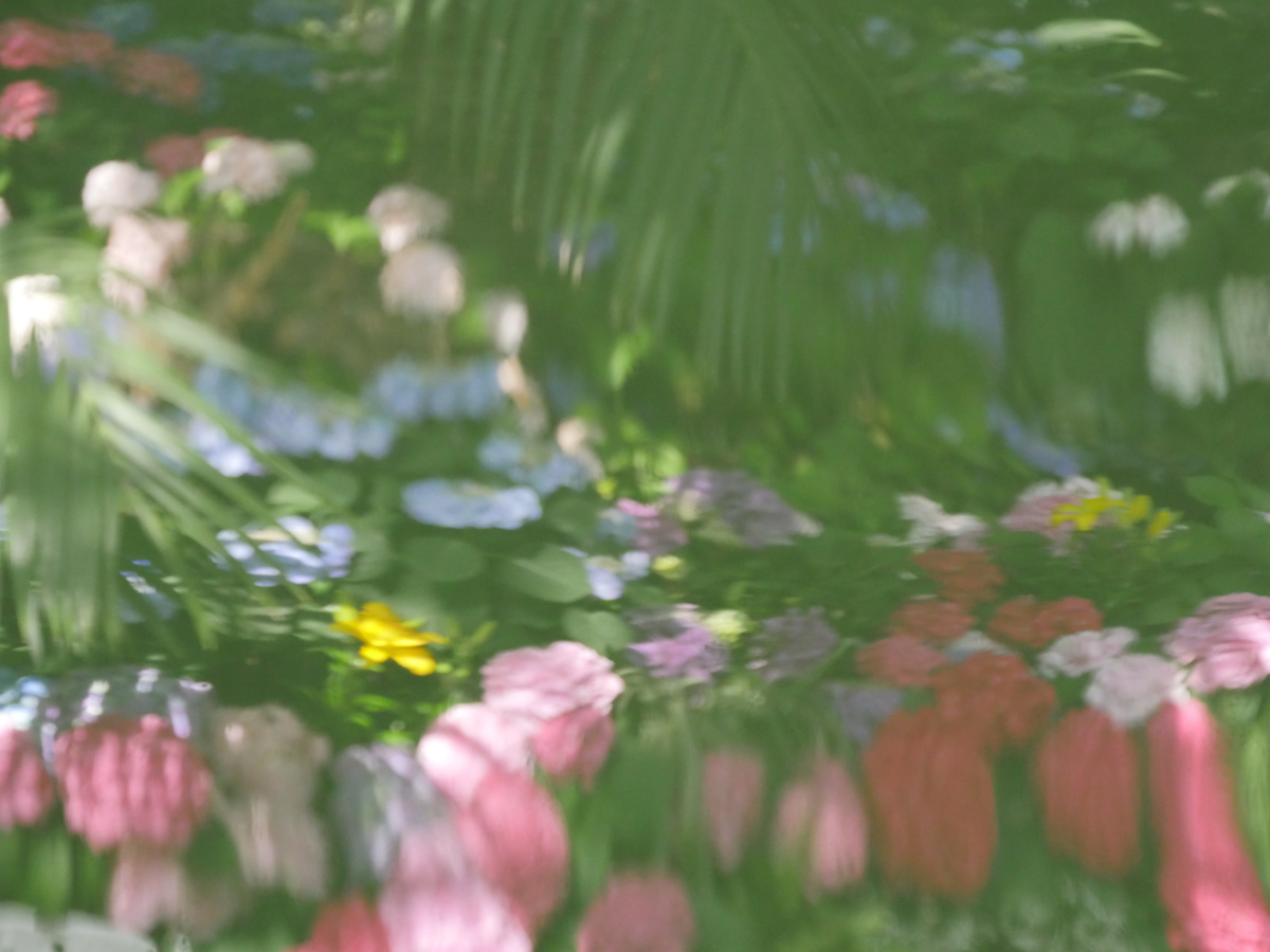 palmenhaus01