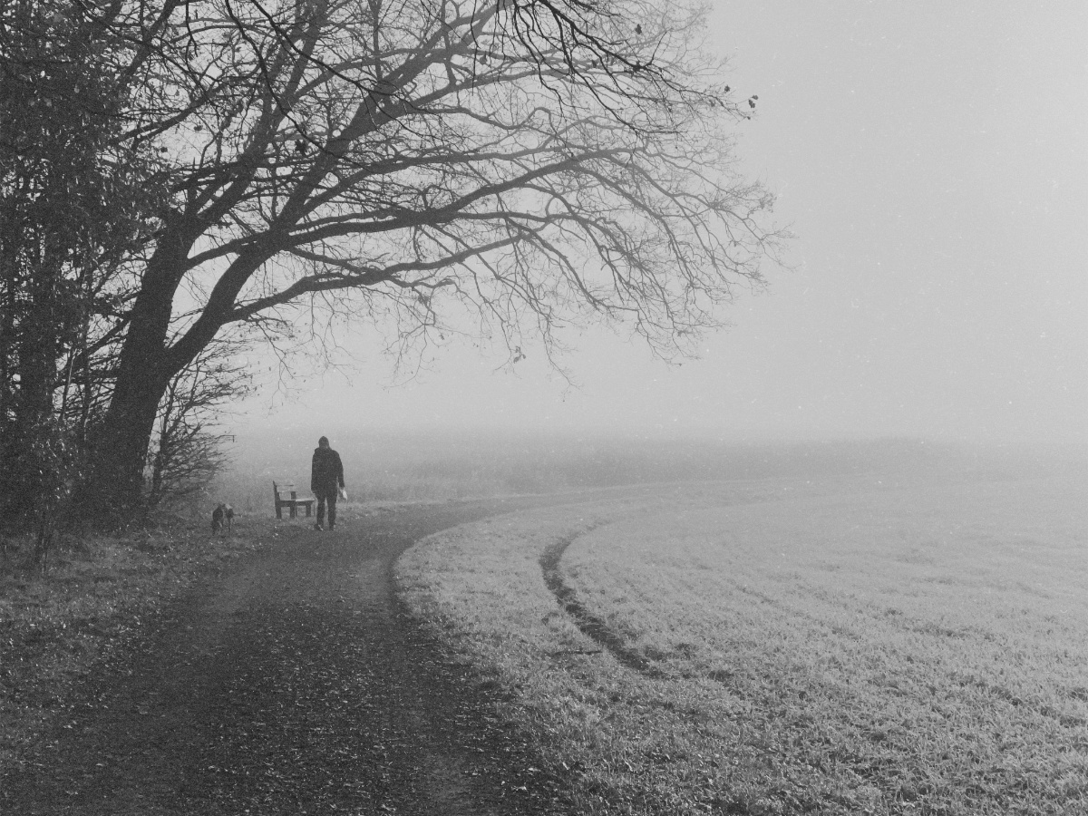 seasonalgreetings06